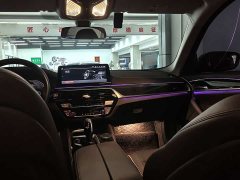 BMW 5 Series 530Li Luxury Edition Luxury Edition - ფოტო 9