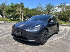 Tesla Model Y Rear-Wheel Drive - ფოტო 1