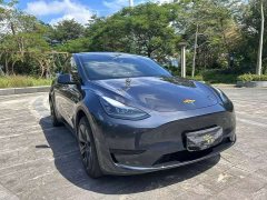 Tesla Model Y Rear-Wheel Drive - ფოტო 2