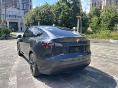 Tesla Model Y Rear-Wheel Drive - ფოტო 3