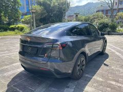 Tesla Model Y Rear-Wheel Drive - ფოტო 4