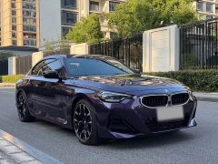 BMW 2 Series (Imported) 225i M Sport Night Edition Package - ფოტო 3