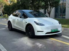 Tesla Model Y Standard Range RWD - ფოტო 1