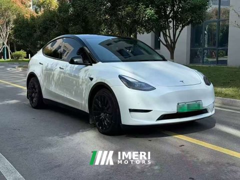 2021 Tesla Model Y Standard Range RWD - ავტომობილი ჩინეთიდან