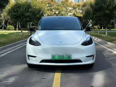 Tesla Model Y Standard Range RWD - ფოტო 2