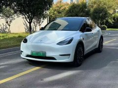 Tesla Model Y Standard Range RWD - ფოტო 3