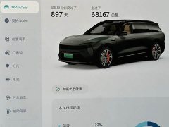NIO ES8 100kWh Signature Edition - ფოტო 13