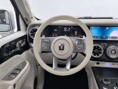 GWM Tank 300 2.0T Cyber GWM - ფოტო 11