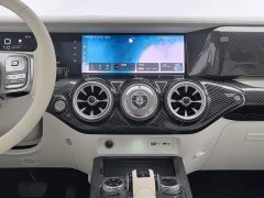 GWM Tank 300 2.0T Cyber GWM - ფოტო 12