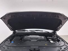 Tank 500 3.0T Premium Custom Edition 5-Seater - ფოტო 6