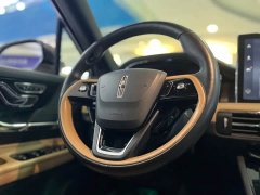 Lincoln Explorer 2.0T Two-Wheel Drive Elite - ფოტო 9