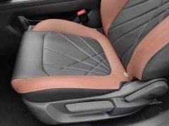 Changan Eado PLUS Blue Whale NE 1.4T GDI DCT Luxury Edition - ფოტო 20