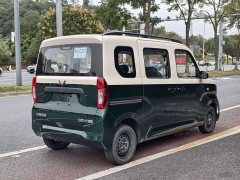 Wuling Zhiguang New Energy 305km Aspiring Edition - ფოტო 10