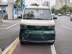 Wuling Zhiguang New Energy 305km Aspiring Edition - ფოტო 2