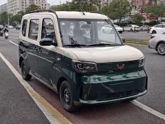 Wuling Zhiguang New Energy 305km Aspiring Edition - ფოტო 3