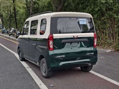 Wuling Zhiguang New Energy 305km Aspiring Edition - ფოტო 8