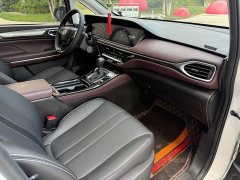 GAC Aion M6 PRO 270T DCT Luxury - ფოტო 8