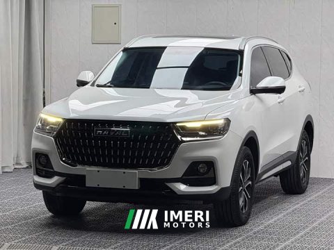 2023 Haval H6 National Trend Edition 1.5T Automatic Urban Version - ავტომობილი ჩინეთიდან