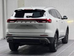 Haval H6 National Trend Edition 1.5T Automatic Urban Version - ფოტო 9
