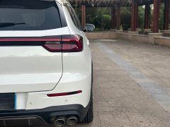 Chery Tiggo 8 Kunpeng 290TGDI Automatic Zhufeng Edition - ფოტო 19
