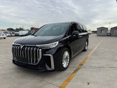 Voyah Lantu Dreamchaser Low Carbon Edition Family - ფოტო 1