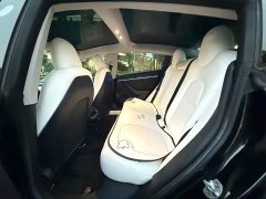 Tesla Model 3 Performance All-Wheel Drive - ფოტო 11