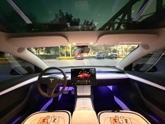 Tesla Model 3 Performance All-Wheel Drive - ფოტო 12