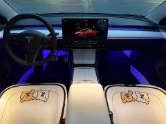 Tesla Model 3 Performance All-Wheel Drive - ფოტო 13