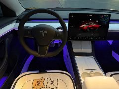 Tesla Model 3 Performance All-Wheel Drive - ფოტო 14