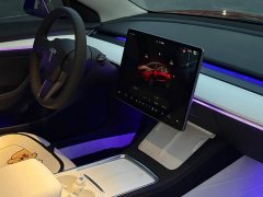 Tesla Model 3 Performance All-Wheel Drive - ფოტო 16