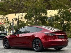 Tesla Model 3 Performance All-Wheel Drive - ფოტო 7