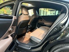 Lexus ES 300h Excellence Edition - photo 8