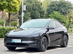 Tesla Model Y Long Range All-Wheel Drive - фото 1