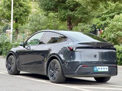 Tesla Model Y Long Range All-Wheel Drive - фото 6