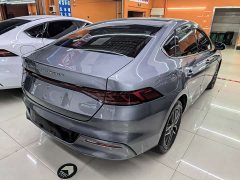 BYD Qin Plus DM-i 55KM Flagship - ფოტო 4