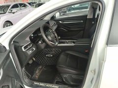 Geely Emgrand 4th Generation 1.5L CVT Luxury - photo 4
