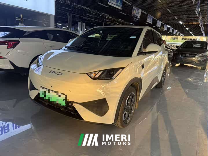 BYD Seagull Smart Driving Edition 305km Freedom Edition