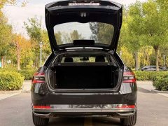 Skoda Superb TSI330 DSG Luxury Edition - ფოტო 14