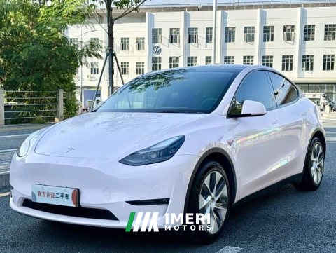 2021 Tesla Model Y Standard Range RWD - автомобиль из Китая