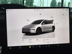 Tesla Model Y Rear-Wheel Drive - ფოტო 11