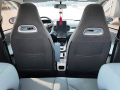 Chery Ant 301km True Love Plus Version Lithium iron phosphate - ფოტო 8
