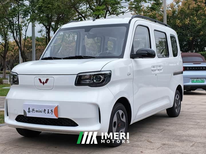 Wuling Zhiguang New Energy 305km Aspiring Edition - ავტომობილი ჩინეთიდან