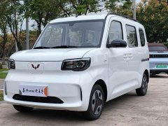 Wuling Zhiguang New Energy 305km Aspiring Edition - ფოტო 1