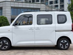 Wuling Zhiguang New Energy 305km Aspiring Edition - ფოტო 3