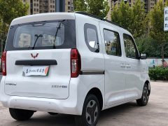 Wuling Zhiguang New Energy 305km Aspiring Edition - ფოტო 6