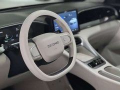 Geely Xing Yuan 310km Youth Edition - ფოტო 5