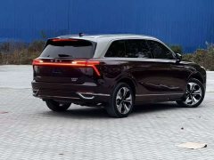 Great Wall WEY Blue Mountain Four-Wheel Drive Extended Range Version - ფოტო 2