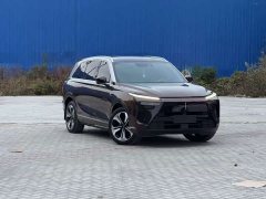Great Wall WEY Blue Mountain Four-Wheel Drive Extended Range Version - ფოტო 3