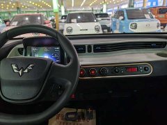 Wuling Hongguang MINIEV Deluxe Edition LFP Battery - ფოტო 7
