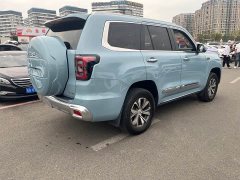 Beijing Jeep BJ60 2.0T Eleventh Edition Seven-Seater - ფოტო 19